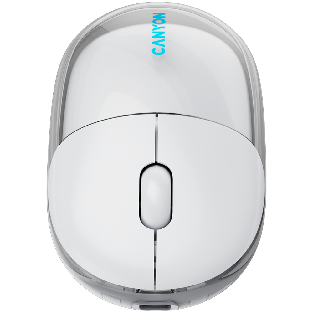 Wireless mouse BT/2.4GHz silent USB-C Canyon 24 white