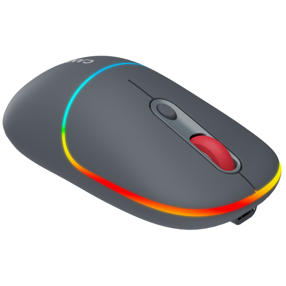 Mysz bezprzewodowa 2w1 RGB Canyon MW 22 szara