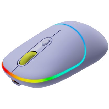 Drahtlose 2-in-1-RGB-Maus Canyon MW 22 lila