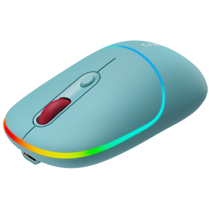 Mysz bezprzewodowa 2w1 RGB Canyon MW 22 niebieska