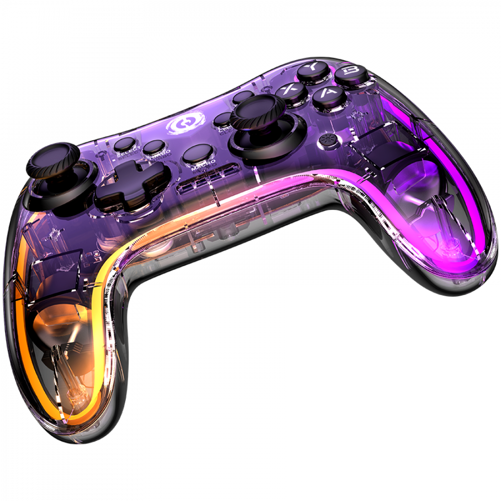 Canyon GPW 04 kabelloser Controller mit Dongle transparent