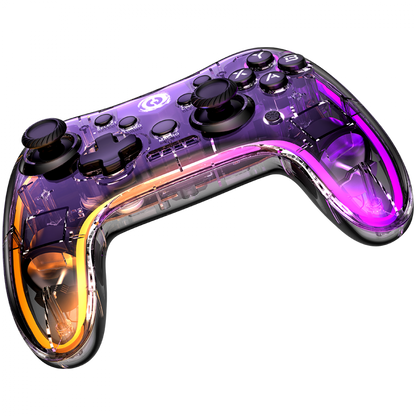 Canyon GPW 04 kabelloser Controller mit Dongle transparent