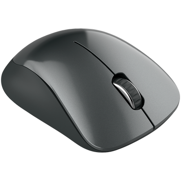 Kabellose 2.4 GHz Maus ergonomisch Canyon MW-11 schwarz