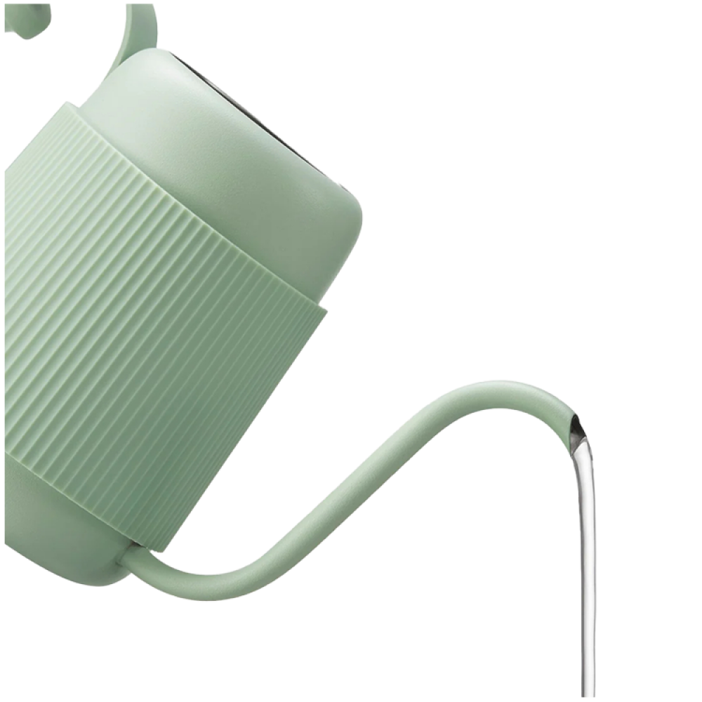 Dzbanek gooseneck Buydeem CD2006 350 ml pastelowy zielony