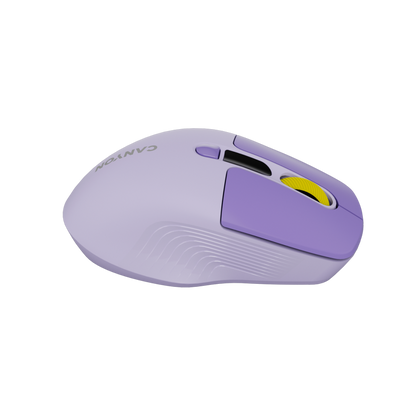 Kabellose geräuschlose Maus Dual-Modus LCD Canyon MW-26 violett