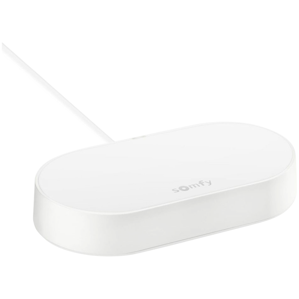 SOMFY Drehtorantrieb SGS Essential Connect