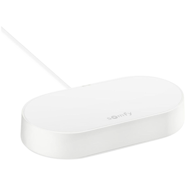 SOMFY Drehtorantrieb SGS Essential Connect