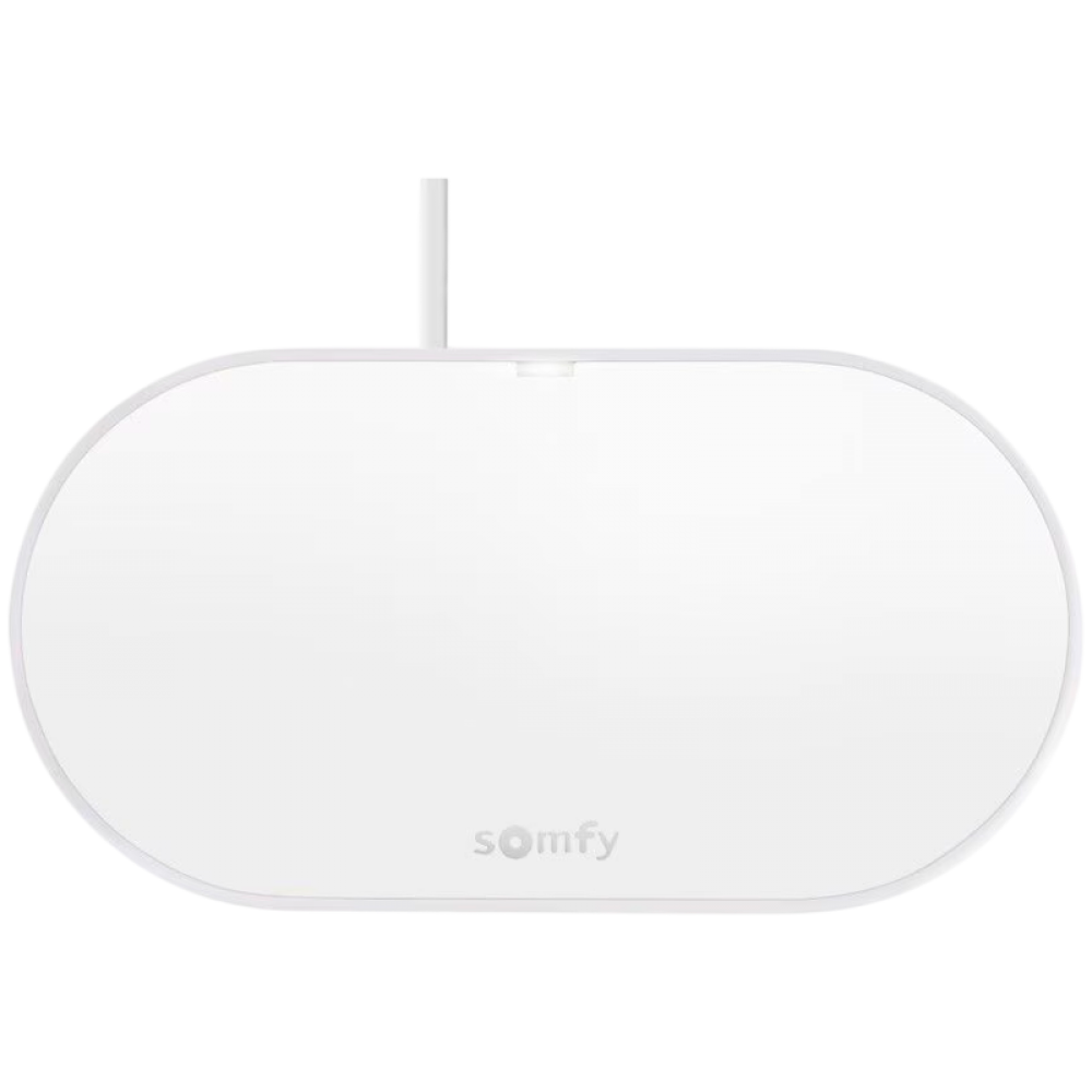 SOMFY Drehtorantrieb SGS Essential Connect