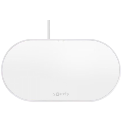 SOMFY Drehtorantrieb SGS Essential Connect