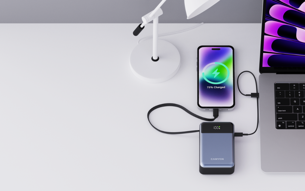Power bank 20000 mAh PD 65W with cable Canyon OnPower 600 graphite