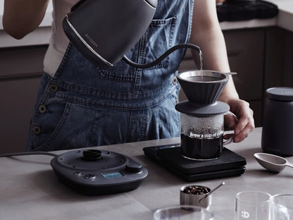 Czajnik elektryczny gooseneck Buydeem K821 pastelowy szary